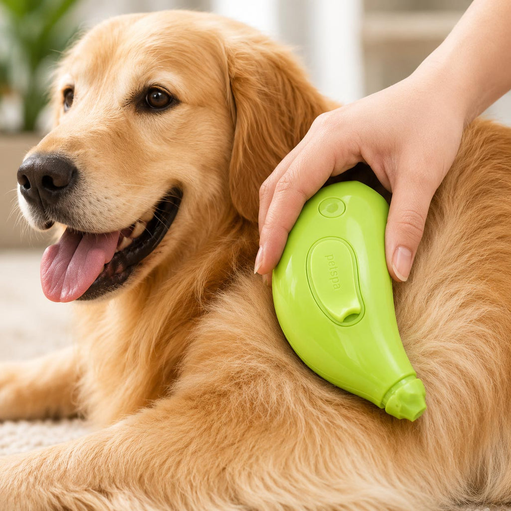 😺🐶 Cepillo de vapor 3 en 1 para perritos y gatitos mimados