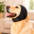 🐶 Protector de oídos para perritos sensibles
